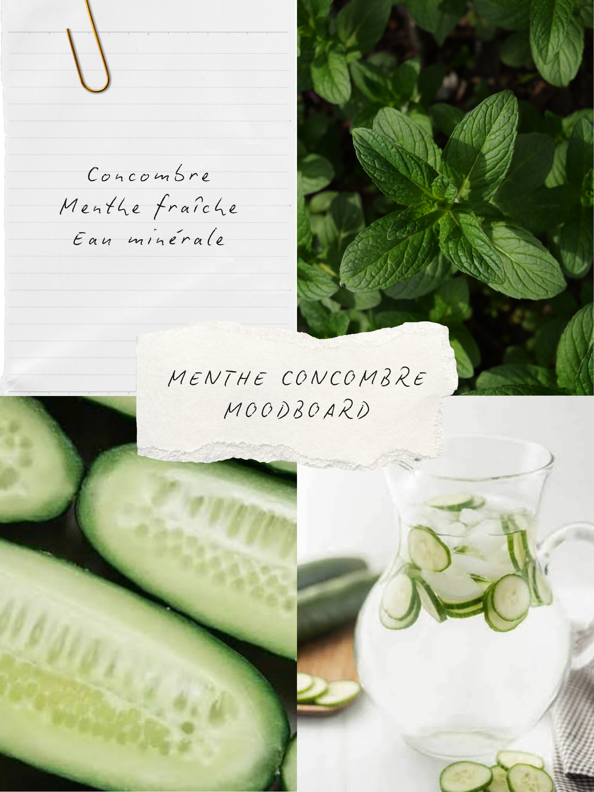 Ambiance parfum Menthe & concombre, collection BLANCHE Bougies & co.