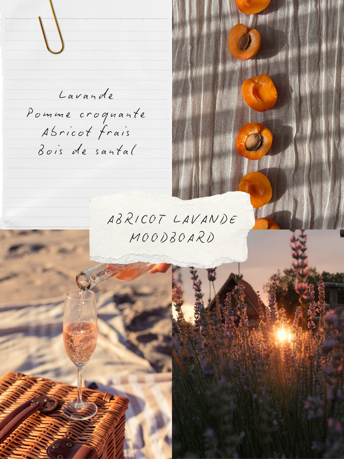 Ambiance parfum Abricot & lavande, collection BLANCHE Bougies & co.