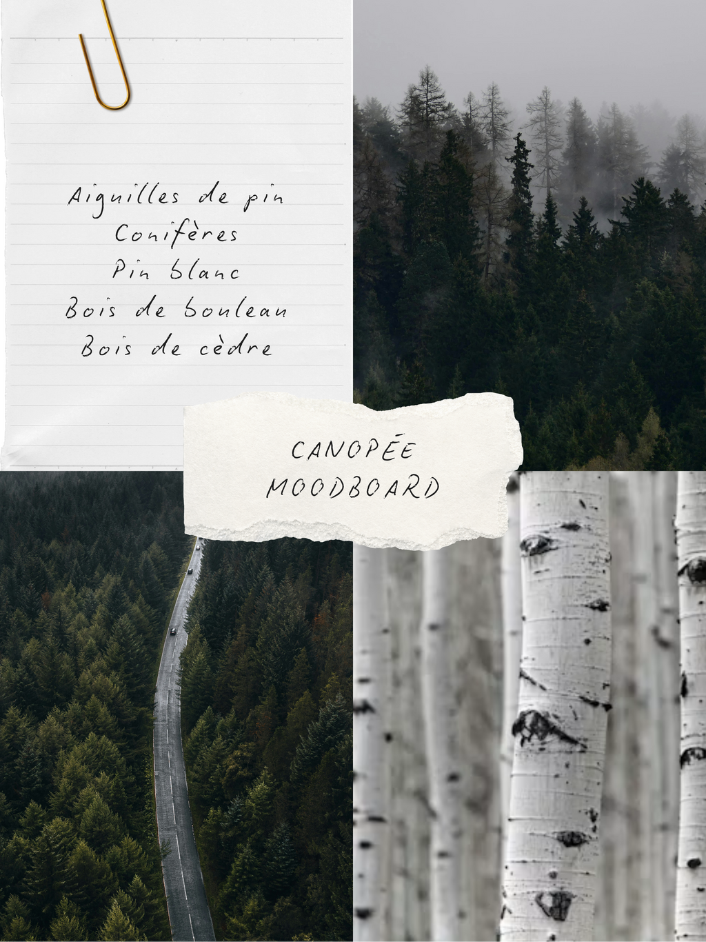 Ambiance parfum CANOPÉE, collection BLANCHE Bougies & co.