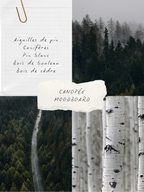 Ambiance parfum CANOPÉE, collection BLANCHE Bougies & co.