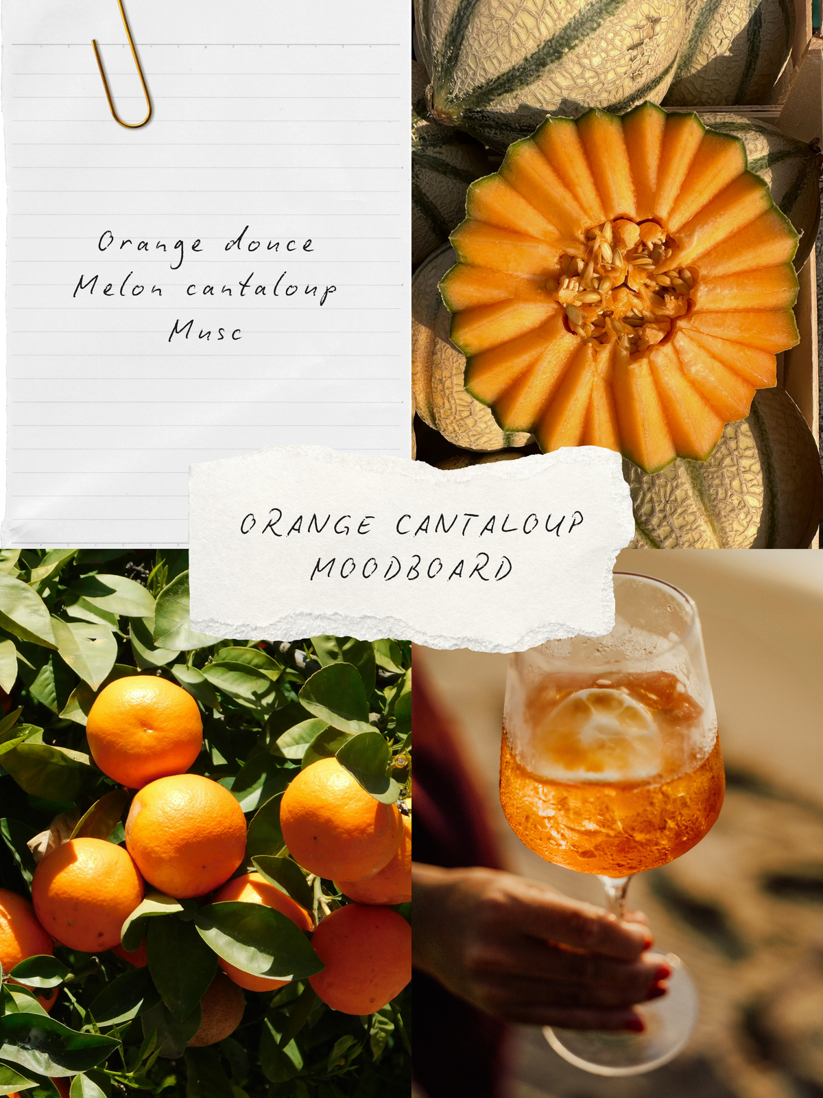 Ambiance parfum Orange & cantaloup, collection BLANCHE Bougies & co.